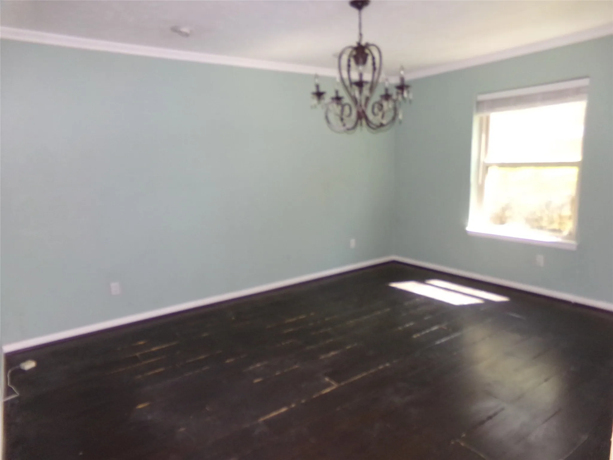 Crown molding accents a room with a single window and dark wood-finish flooring, complemented by a decorative chandelier