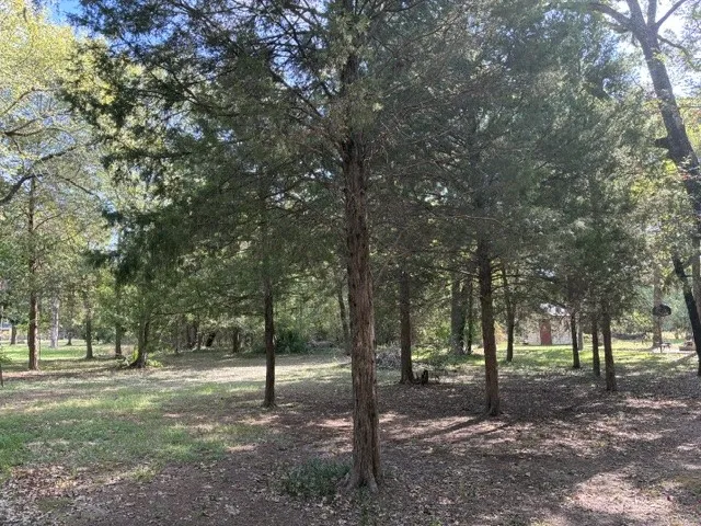 Single Family Residence For Sale in Henderson County , 14344 Jim Bowie, Log Cabin, Texas 75148, 3 Bedroom, 2 Bathroom, Garage spaces, 1,652 Sqft, built in 1973, mls#21386301, Real Estate Agent in Log Cabin, Homes For Sale in Henderson county, Homes For Sale in Log Cabin, Realtor in Log Cabin Texas, Real Estate Brokerage Independent Realty Texas, Luminita Cordes Realtor
