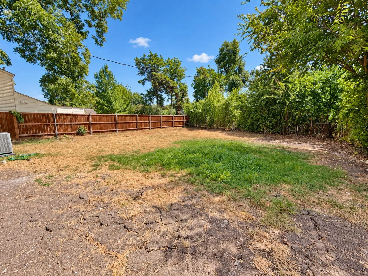 Expansive fenced backyard with a wood privacy fence and established trees