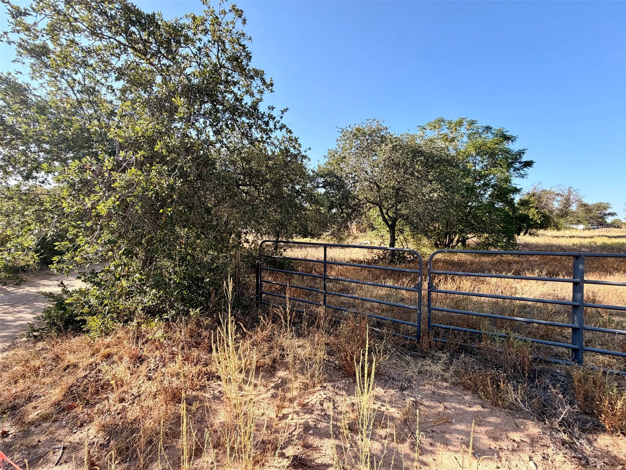 Unimproved Land For Sale in Jones County , 10007 County Road 379, Hawley, Texas 79525, 0, 0, Garage spaces, 0 Sqft, built in 0, mls#21386318, Real Estate Agent in Hawley, Homes For Sale in Jones county, Homes For Sale in Hawley, Realtor in Hawley Texas, Real Estate Brokerage Independent Realty Texas, Luminita Cordes Realtor