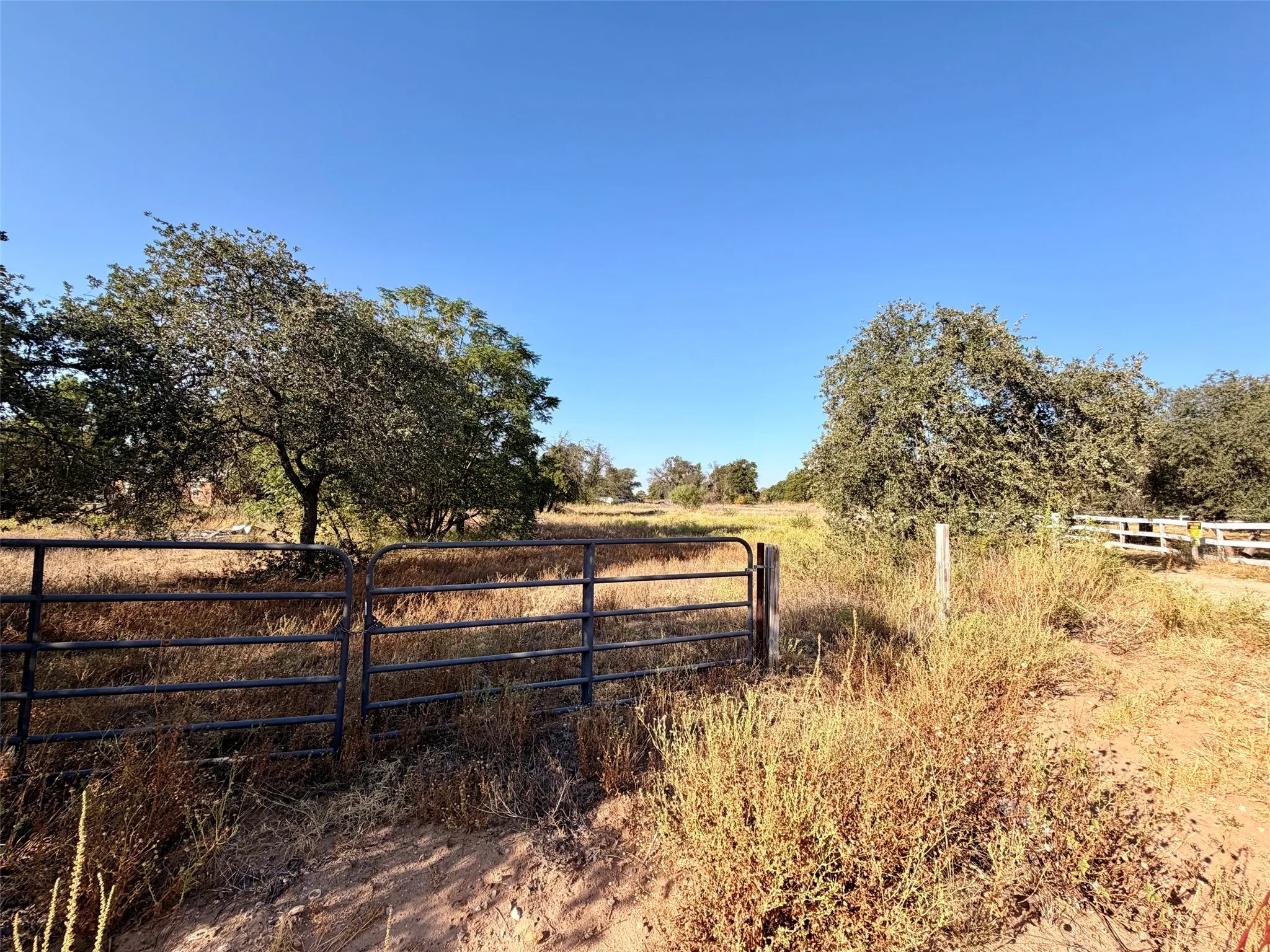 Unimproved Land For Sale in Jones County , 10007 County Road 379, Hawley, Texas 79525, 0, 0, Garage spaces, 0 Sqft, built in 0, mls#21386318, Real Estate Agent in Hawley, Homes For Sale in Jones county, Homes For Sale in Hawley, Realtor in Hawley Texas, Real Estate Brokerage Independent Realty Texas, Luminita Cordes Realtor