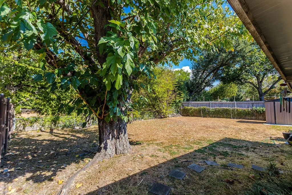 Spacious backyard featuring a substantial mature tree, partial fencing, and a covered patio area