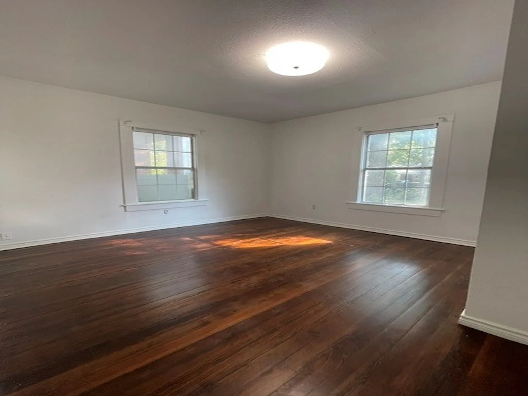 Expansive room featuring dark wood-finish flooring, two large windows, and a flush mount ceiling light