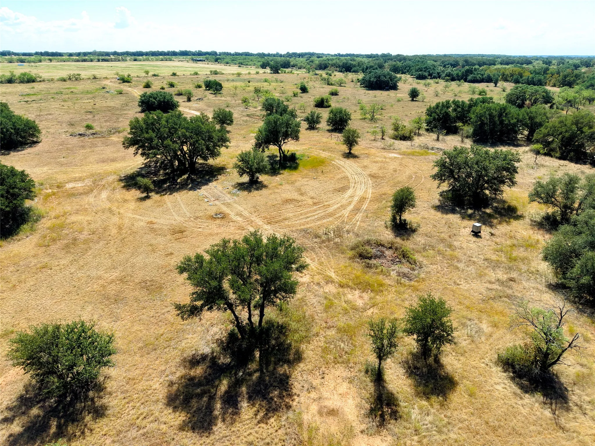 Unimproved Land For Sale in Eastland County , TBD County Road 363, Gorman, Texas 76454, 0, 0, Garage spaces, 0 Sqft, built in 0, mls#21386386, Real Estate Agent in Gorman, Homes For Sale in Eastland county, Homes For Sale in Gorman, Realtor in Gorman Texas, Real Estate Brokerage Independent Realty Texas, Luminita Cordes Realtor
