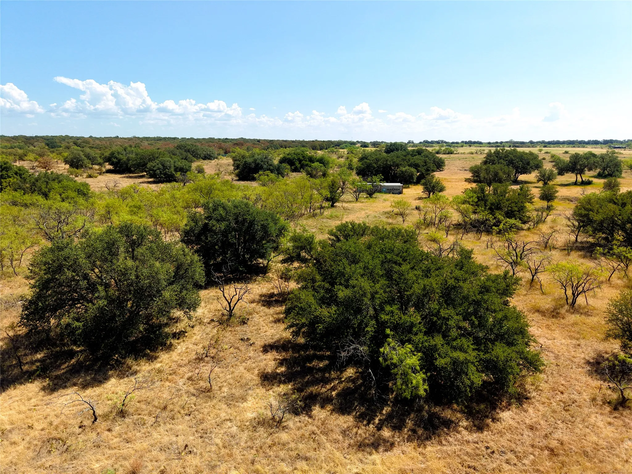 Unimproved Land For Sale in Eastland County , TBD County Road 363, Gorman, Texas 76454, 0, 0, Garage spaces, 0 Sqft, built in 0, mls#21386386, Real Estate Agent in Gorman, Homes For Sale in Eastland county, Homes For Sale in Gorman, Realtor in Gorman Texas, Real Estate Brokerage Independent Realty Texas, Luminita Cordes Realtor