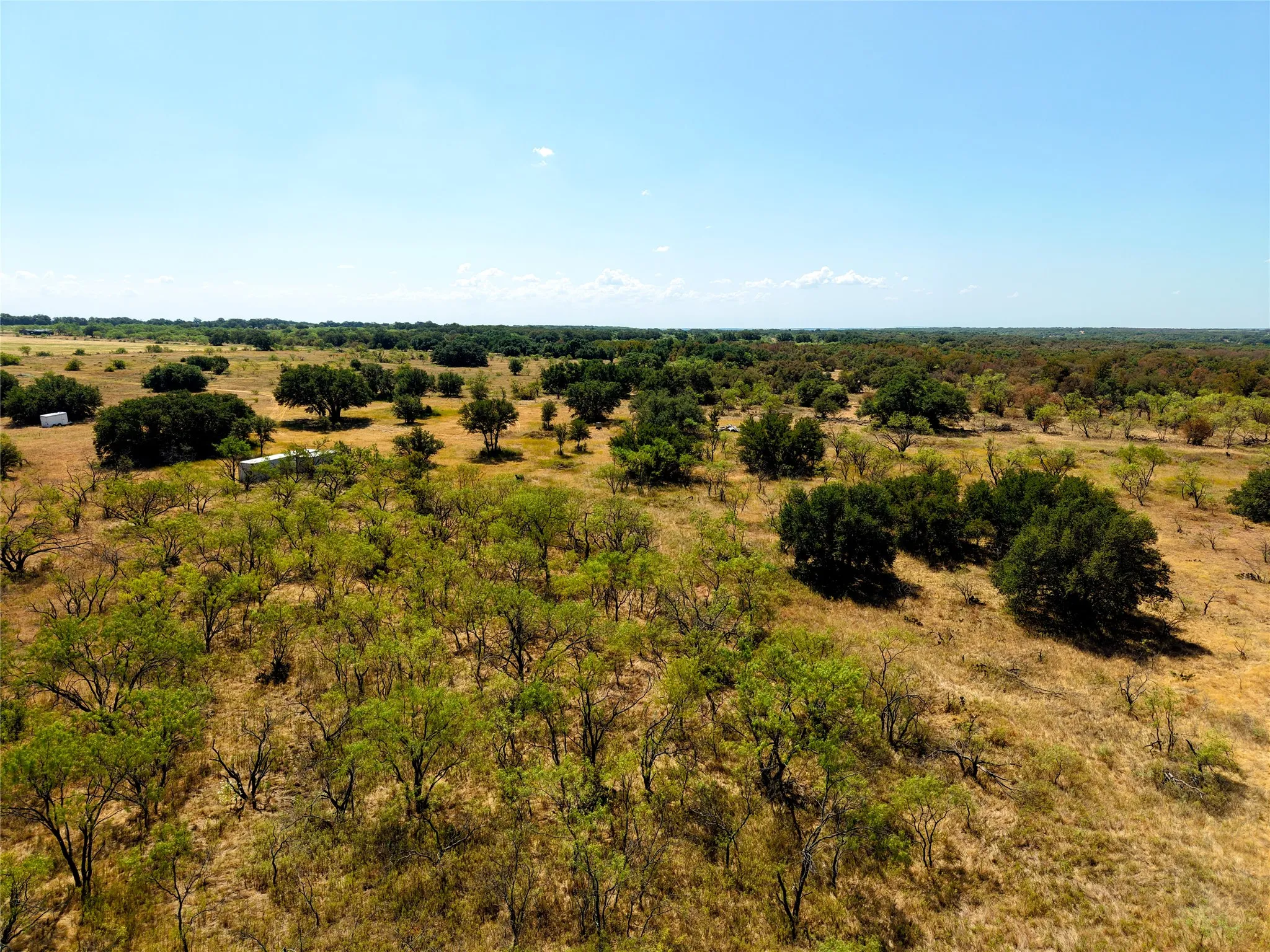 Unimproved Land For Sale in Eastland County , TBD County Road 363, Gorman, Texas 76454, 0, 0, Garage spaces, 0 Sqft, built in 0, mls#21386386, Real Estate Agent in Gorman, Homes For Sale in Eastland county, Homes For Sale in Gorman, Realtor in Gorman Texas, Real Estate Brokerage Independent Realty Texas, Luminita Cordes Realtor