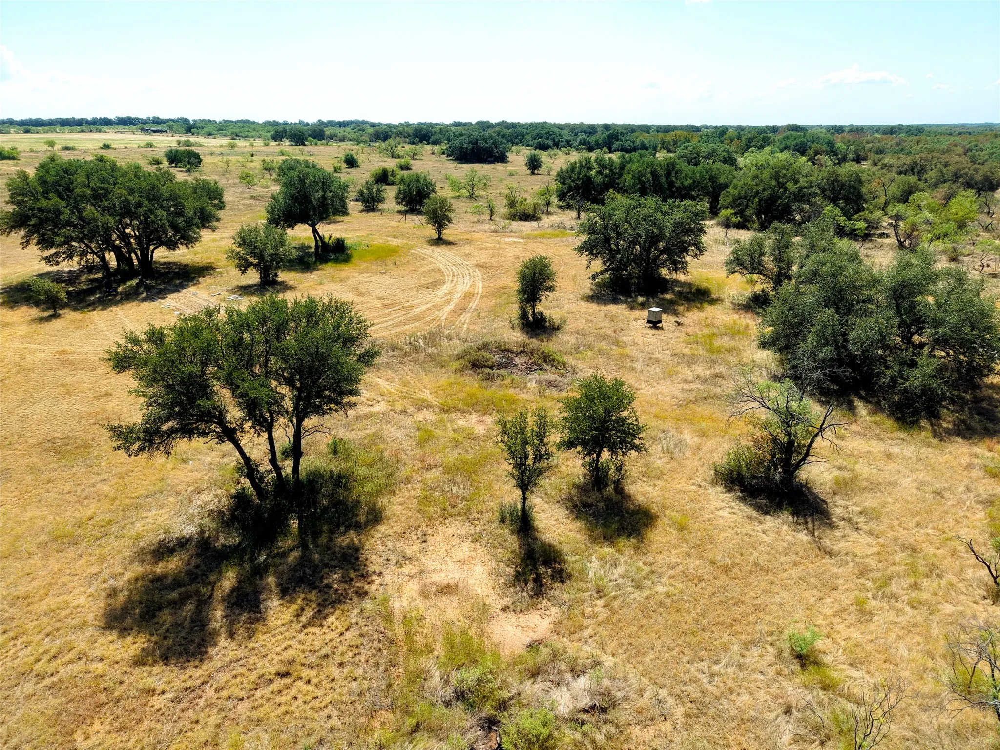Unimproved Land For Sale in Eastland County , TBD County Road 363, Gorman, Texas 76454, 0, 0, Garage spaces, 0 Sqft, built in 0, mls#21386386, Real Estate Agent in Gorman, Homes For Sale in Eastland county, Homes For Sale in Gorman, Realtor in Gorman Texas, Real Estate Brokerage Independent Realty Texas, Luminita Cordes Realtor