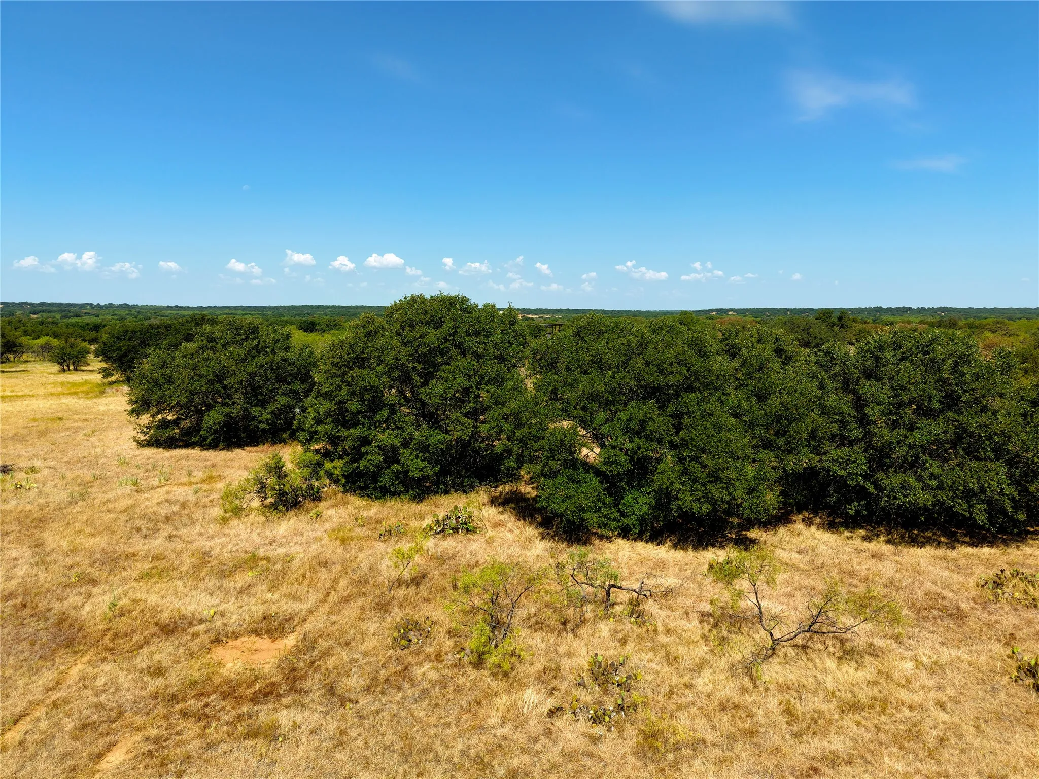 Unimproved Land For Sale in Eastland County , TBD County Road 363, Gorman, Texas 76454, 0, 0, Garage spaces, 0 Sqft, built in 0, mls#21386386, Real Estate Agent in Gorman, Homes For Sale in Eastland county, Homes For Sale in Gorman, Realtor in Gorman Texas, Real Estate Brokerage Independent Realty Texas, Luminita Cordes Realtor