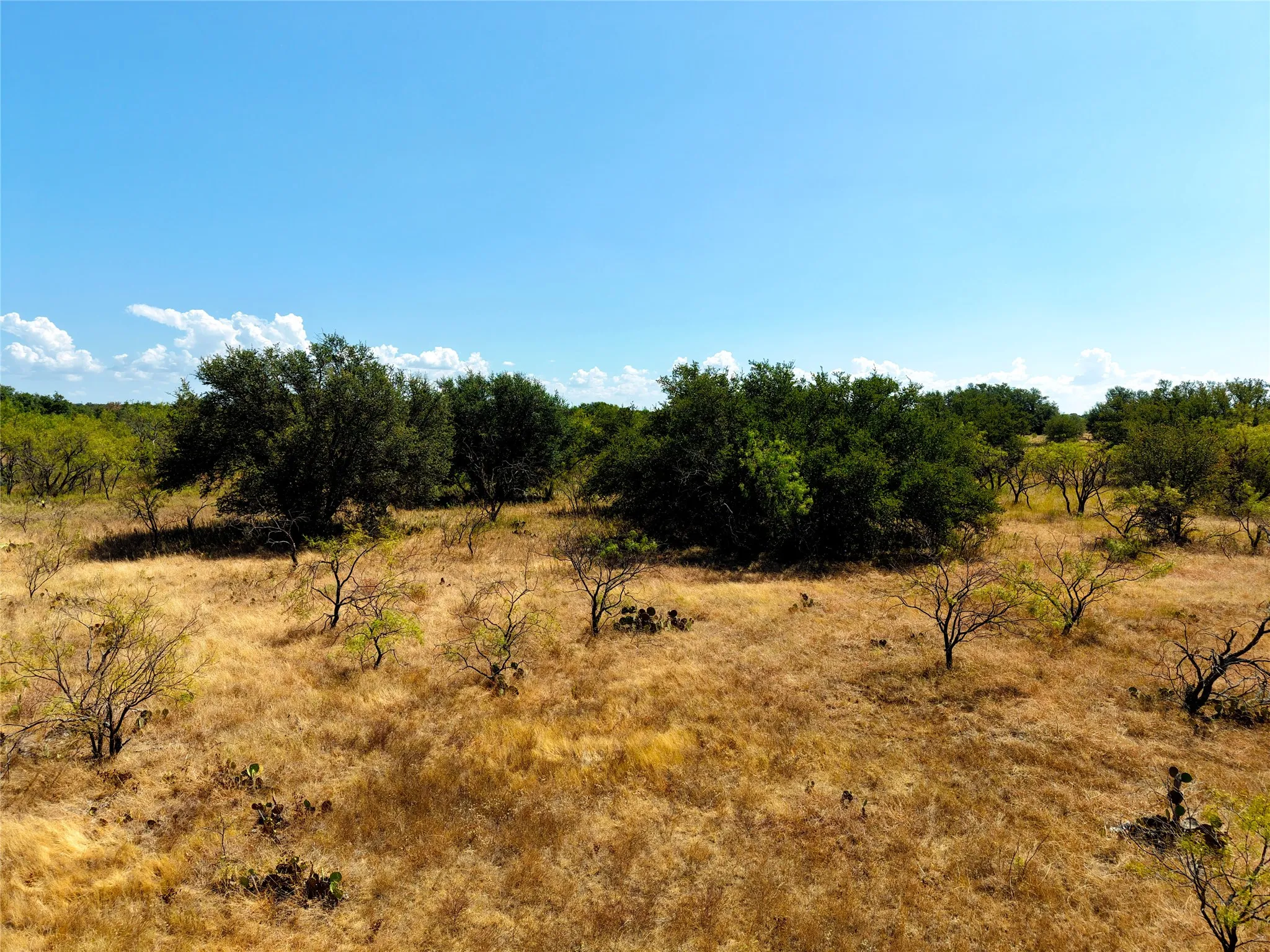 Unimproved Land For Sale in Eastland County , TBD County Road 363, Gorman, Texas 76454, 0, 0, Garage spaces, 0 Sqft, built in 0, mls#21386386, Real Estate Agent in Gorman, Homes For Sale in Eastland county, Homes For Sale in Gorman, Realtor in Gorman Texas, Real Estate Brokerage Independent Realty Texas, Luminita Cordes Realtor
