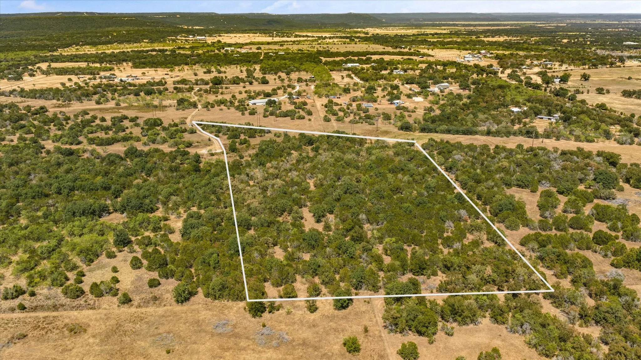 Expansive treed lot with varied topography and surrounding open land