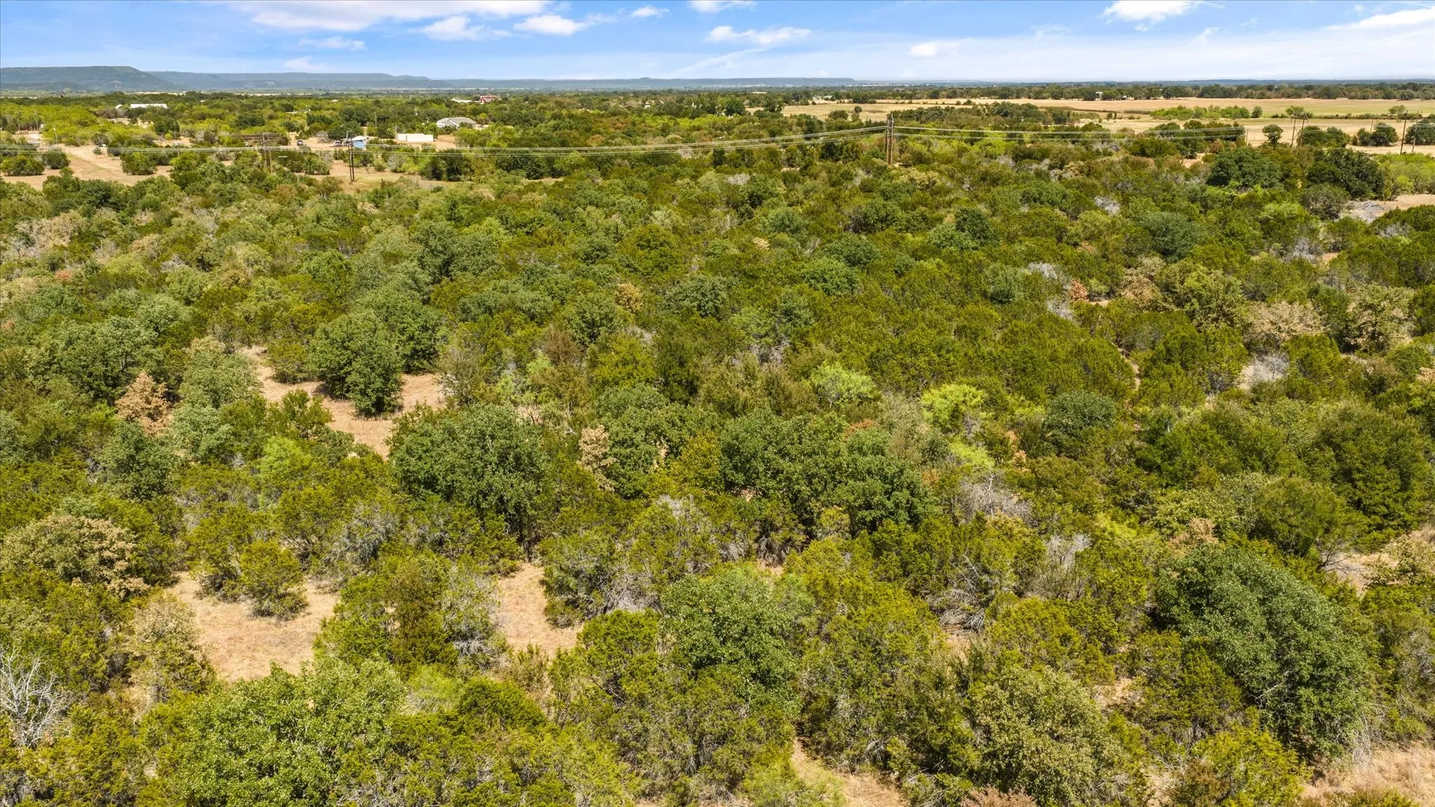 Expansive acreage featuring abundant mature trees and natural vegetation