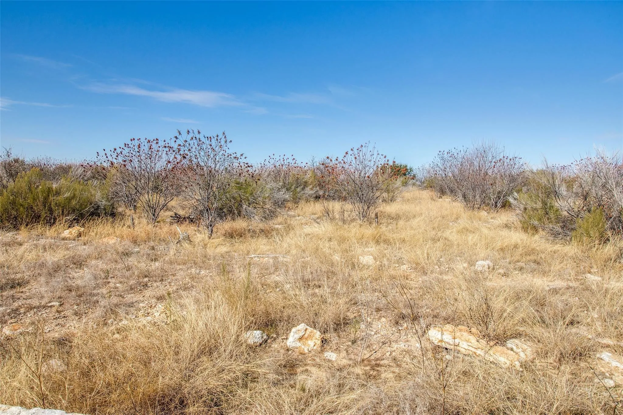 Unimproved Land For Sale in Palo Pinto County , TBD LOT #45 Rawhide Ridge, Possum Kingdom Lake, Texas 76449, 0, 0, Garage spaces, 0 Sqft, built in 0, mls#21386378, Real Estate Agent in Possum Kingdom Lake, Homes For Sale in Palo Pinto county, Homes For Sale in Possum Kingdom Lake, Realtor in Possum Kingdom Lake Texas, Real Estate Brokerage Independent Realty Texas, Luminita Cordes Realtor