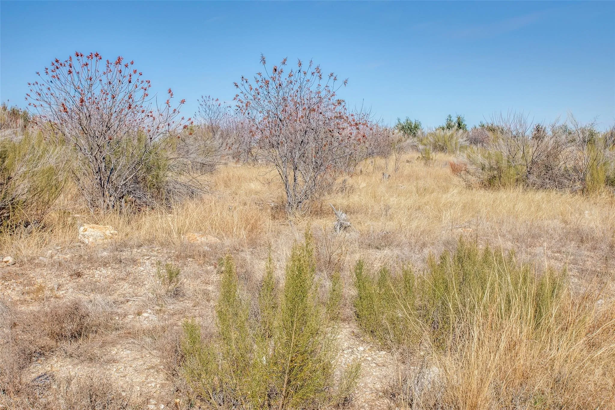 Unimproved Land For Sale in Palo Pinto County , TBD LOT #45 Rawhide Ridge, Possum Kingdom Lake, Texas 76449, 0, 0, Garage spaces, 0 Sqft, built in 0, mls#21386378, Real Estate Agent in Possum Kingdom Lake, Homes For Sale in Palo Pinto county, Homes For Sale in Possum Kingdom Lake, Realtor in Possum Kingdom Lake Texas, Real Estate Brokerage Independent Realty Texas, Luminita Cordes Realtor