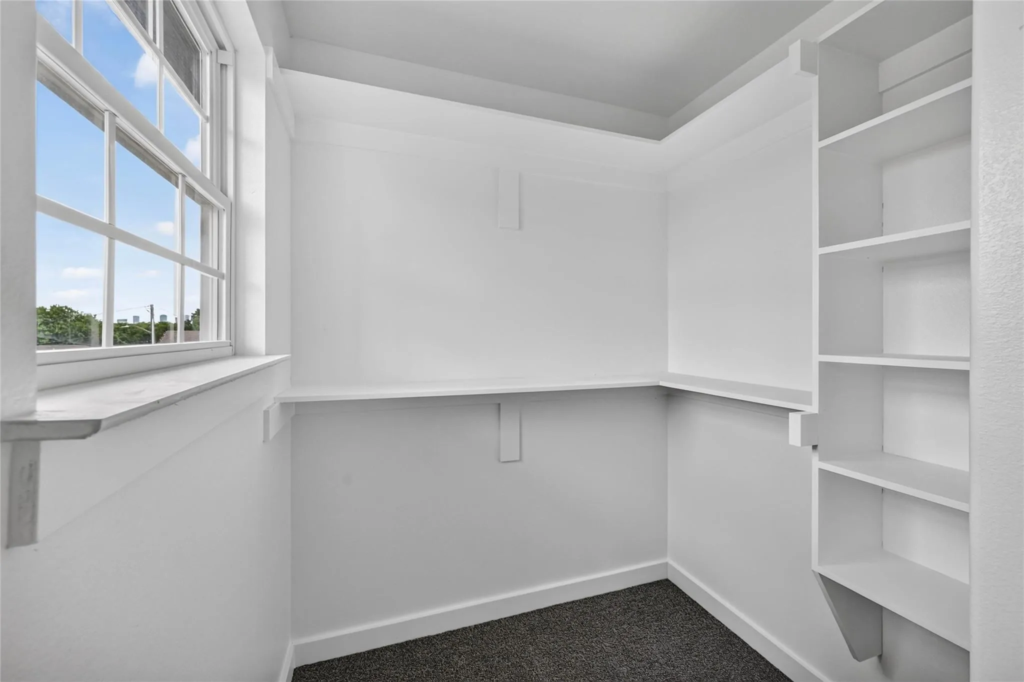 Built-in shelving, window with grid panes, wall-mounted shelving, and dark-toned carpeting