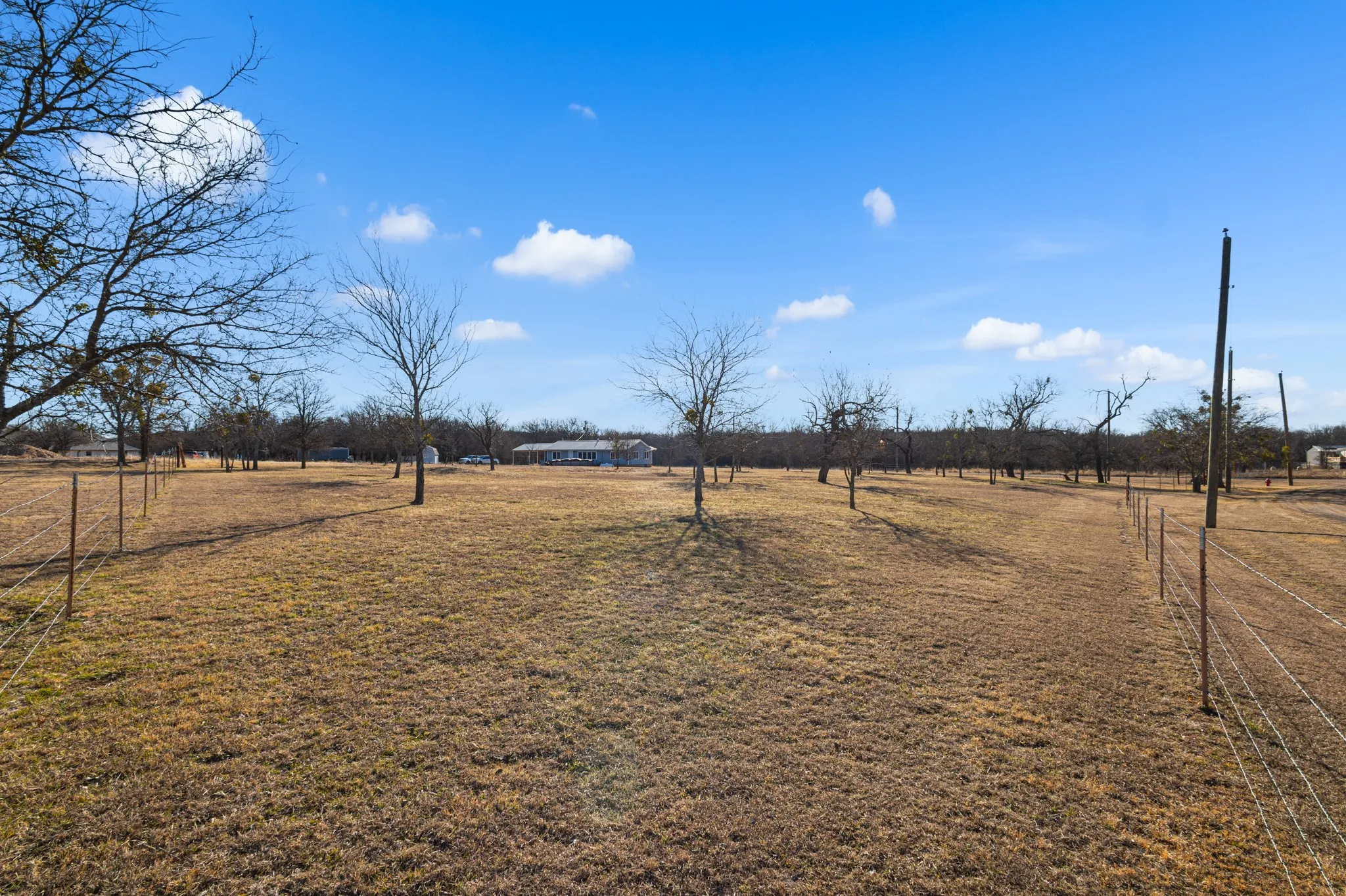 Expansive lot featuring mature trees and perimeter fencing