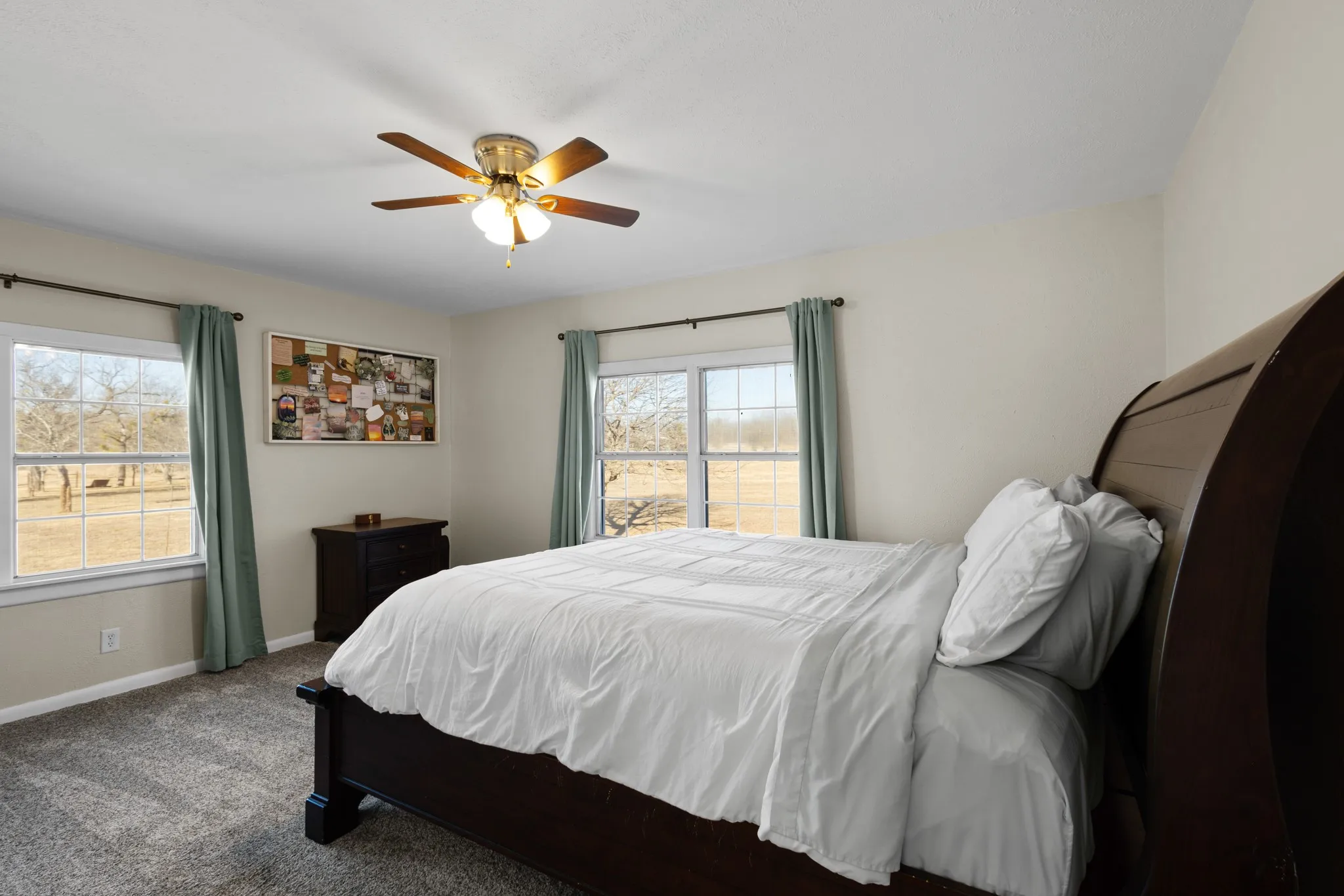 Neutral wall paint, two windows, ceiling fan with light fixture, and carpeted flooring