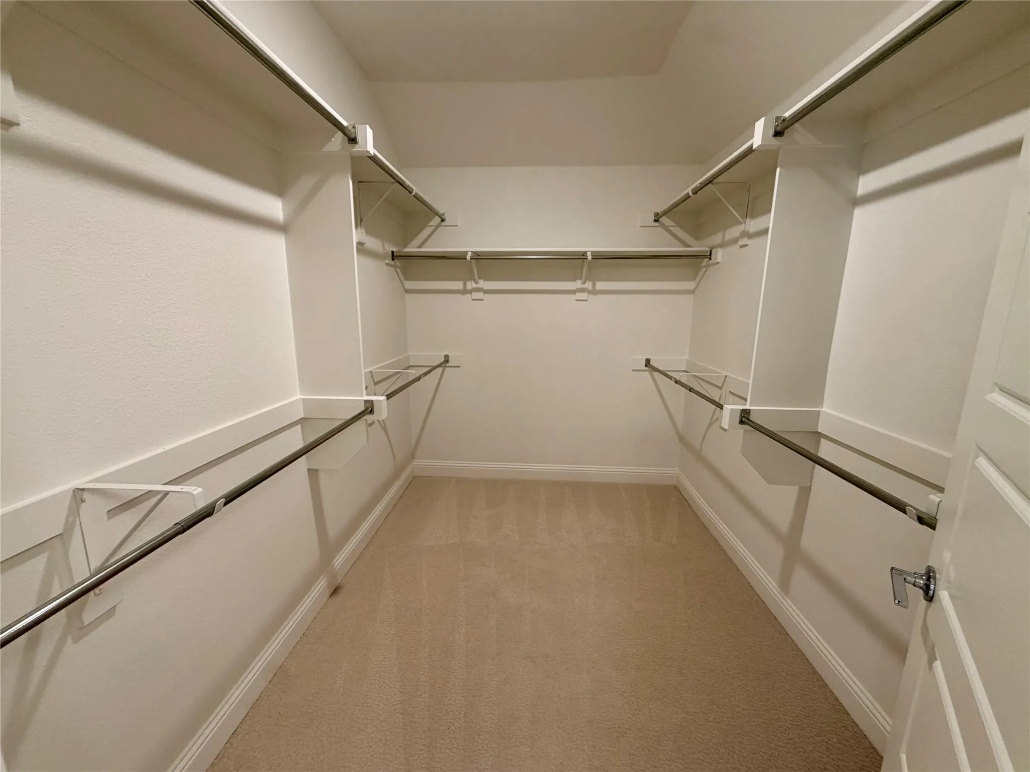 Walk-in closet featuring carpet flooring, built-in shelving, and multiple clothing rods
