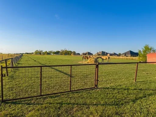 Single Family Residence For Sale in Ellis County , 141 Whitfill Road, Alma, Texas 75119, 3 Bedroom, 2 Bathroom, 2 Garage spaces, 1,600 Sqft, built in 2012, mls#21386364, Real Estate Agent in Alma, Homes For Sale in Ellis county, Homes For Sale in Alma, Realtor in Alma Texas, Real Estate Brokerage Independent Realty Texas, Luminita Cordes Realtor
