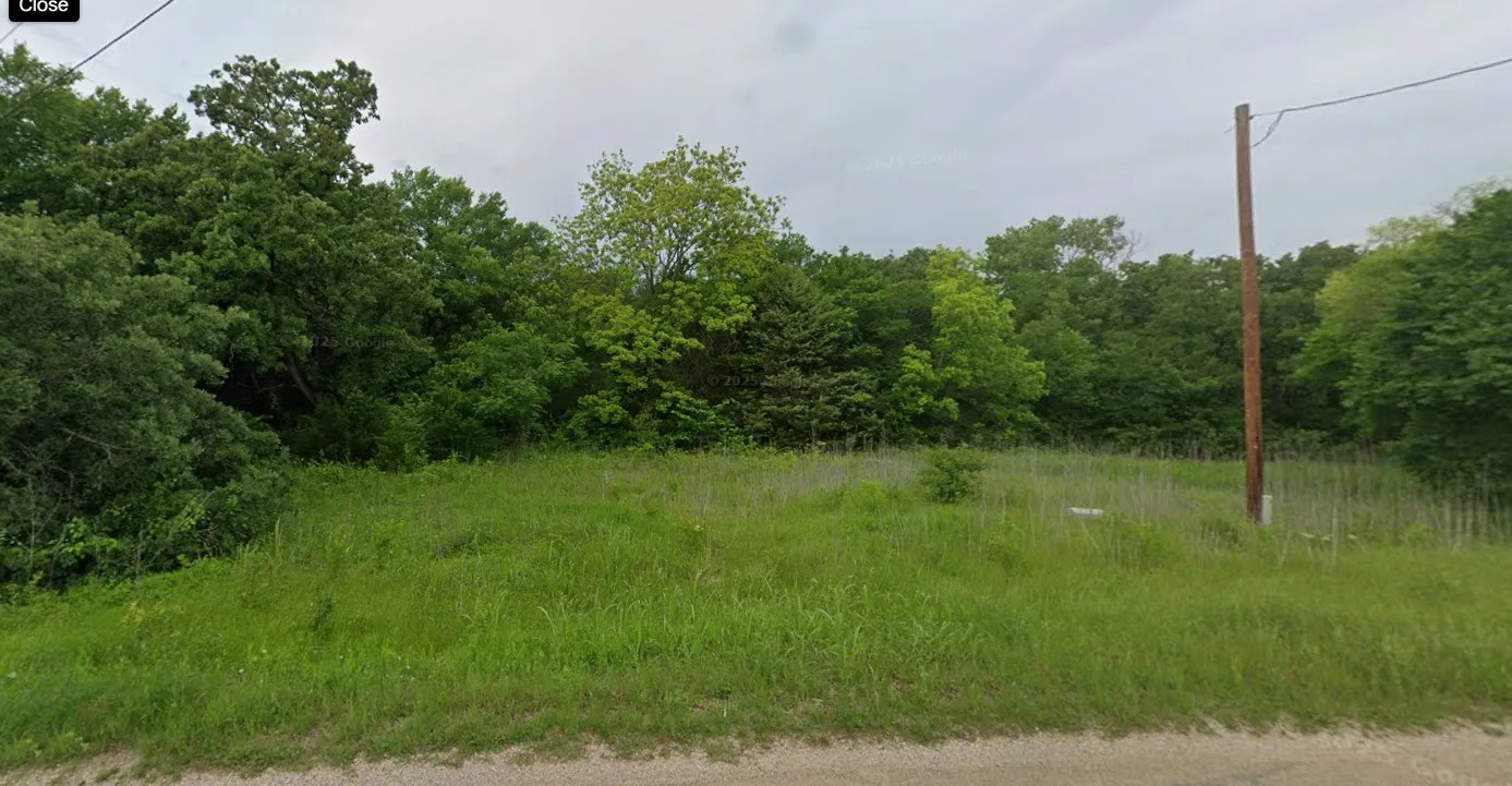 Expansive lot featuring mature trees and lush green foliage