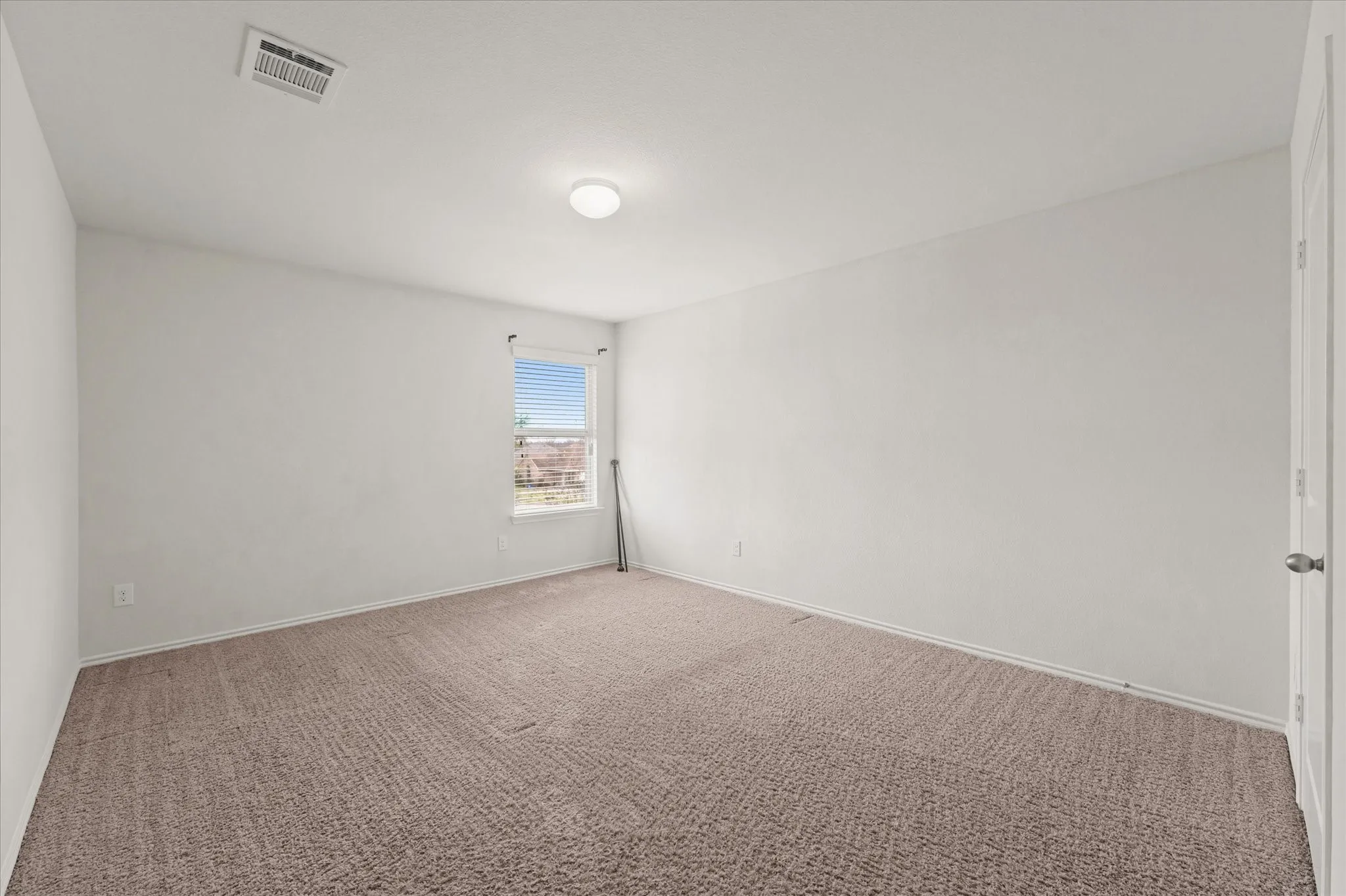 Plush carpeting, neutral wall colors, single window, flush mount lighting, and white trim