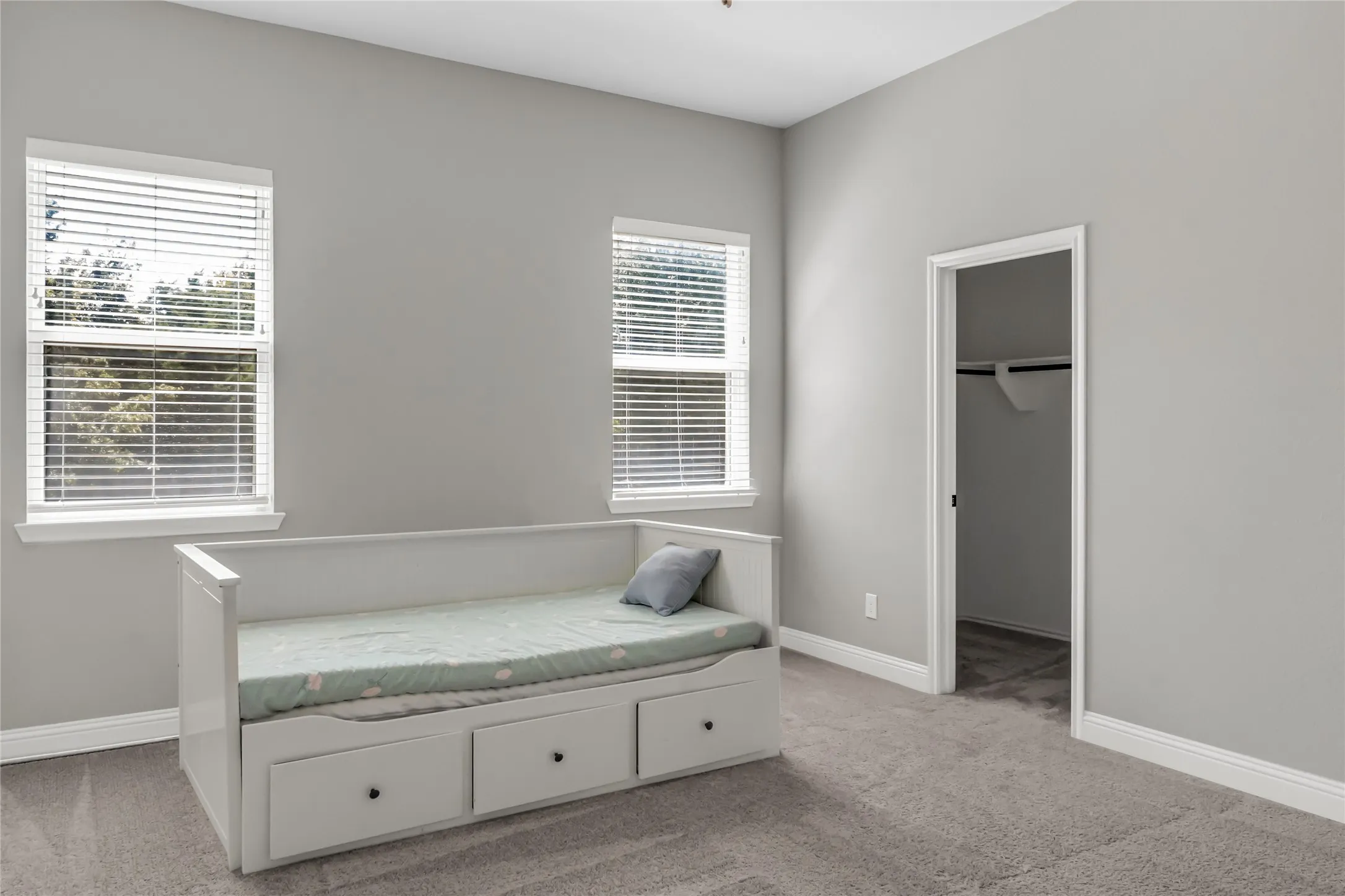Carpeted room featuring two windows with blinds, light gray wall paint, and a closet with a built-in hanging rod