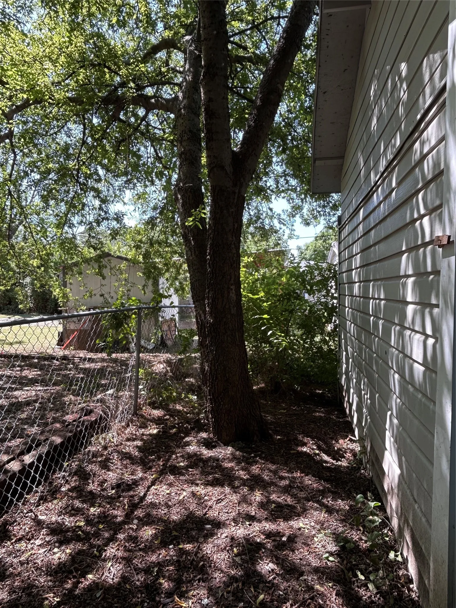 Single Family Residence For Sale in Grayson County , 615 S Throckmorton Street, Sherman, Texas 75090, 3 Bedroom, 2 Bathroom, Garage spaces, 1,278 Sqft, built in 1925, mls#21386553, Real Estate Agent in Sherman, Homes For Sale in Grayson county, Homes For Sale in Sherman, Realtor in Sherman Texas, Real Estate Brokerage Independent Realty Texas, Luminita Cordes Realtor
