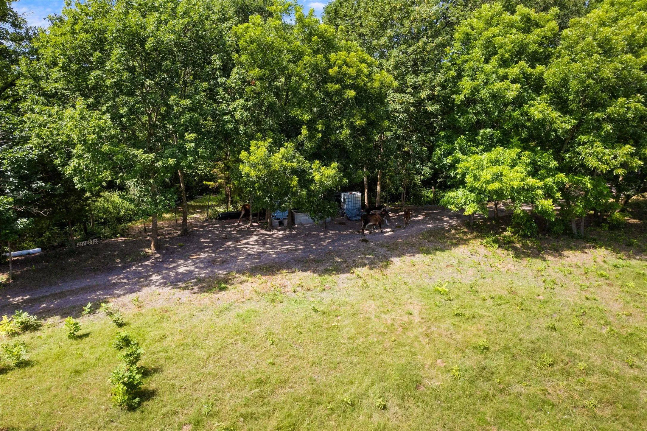 Unimproved Land For Sale in Dallas County , 1213 S Houston School Road, Lancaster, Texas 75146, 0, 0, Garage spaces, 0 Sqft, built in 0, mls#21386559, Real Estate Agent in Lancaster, Homes For Sale in Dallas county, Homes For Sale in Lancaster, Realtor in Lancaster Texas, Real Estate Brokerage Independent Realty Texas, Luminita Cordes Realtor