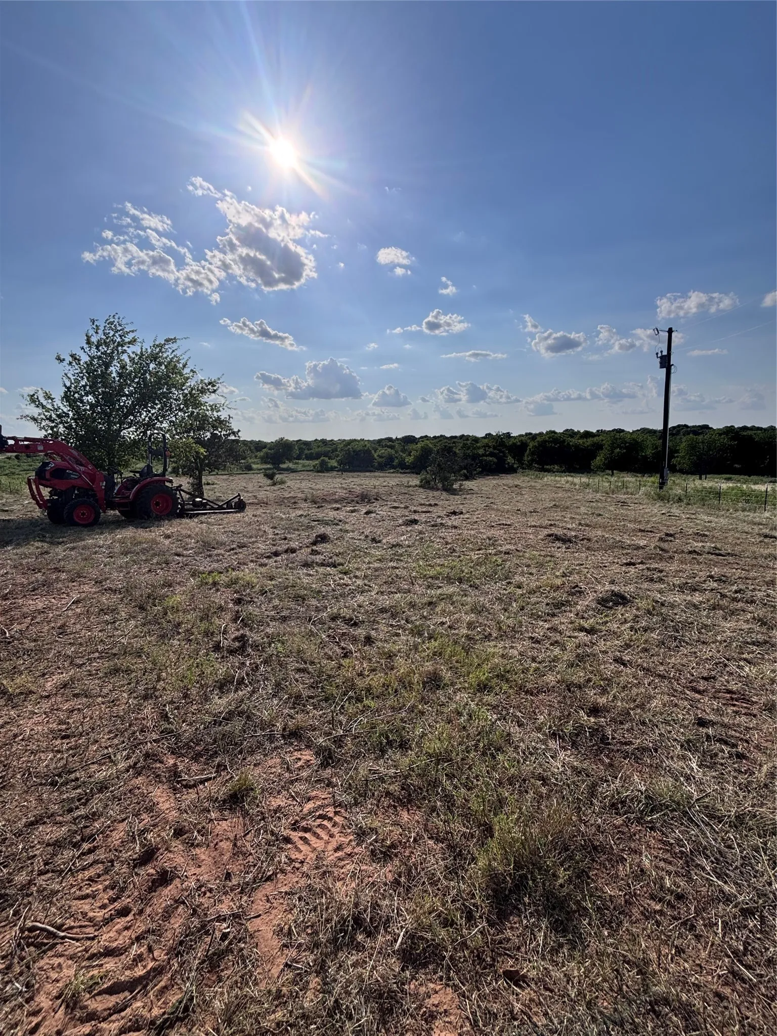Expansive cleared lot with scattered mature trees and open sky