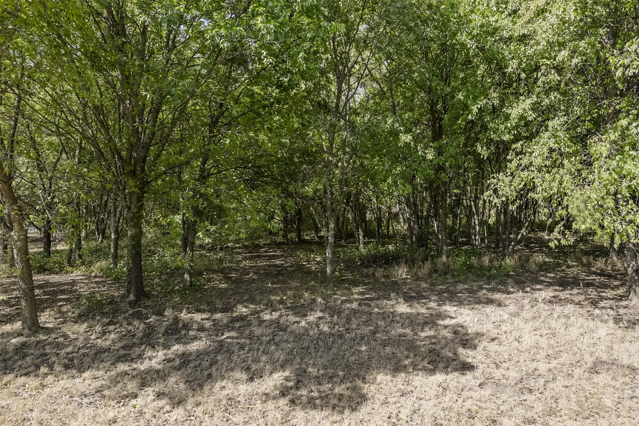 Single Family Residence For Sale in Ellis County , 505 Boz Road, Waxahachie, Texas 75167, 4 Bedroom, 3 Bathroom, 2 Garage spaces, 3,176 Sqft, built in 2015, mls#21384589, Real Estate Agent in Waxahachie, Homes For Sale in Ellis county, Homes For Sale in Waxahachie, Realtor in Waxahachie Texas, Real Estate Brokerage Independent Realty Texas, Luminita Cordes Realtor