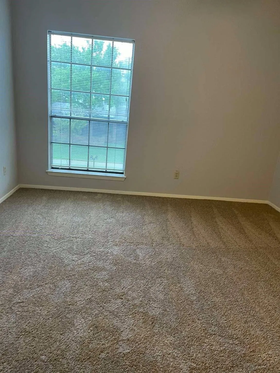 Neutral tone wall paint, window with blinds, and light brown carpeting