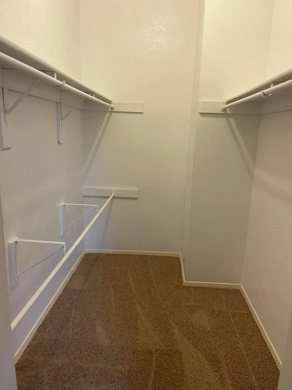 Walk-in closet featuring built-in shelving, hanging rods, and carpet flooring