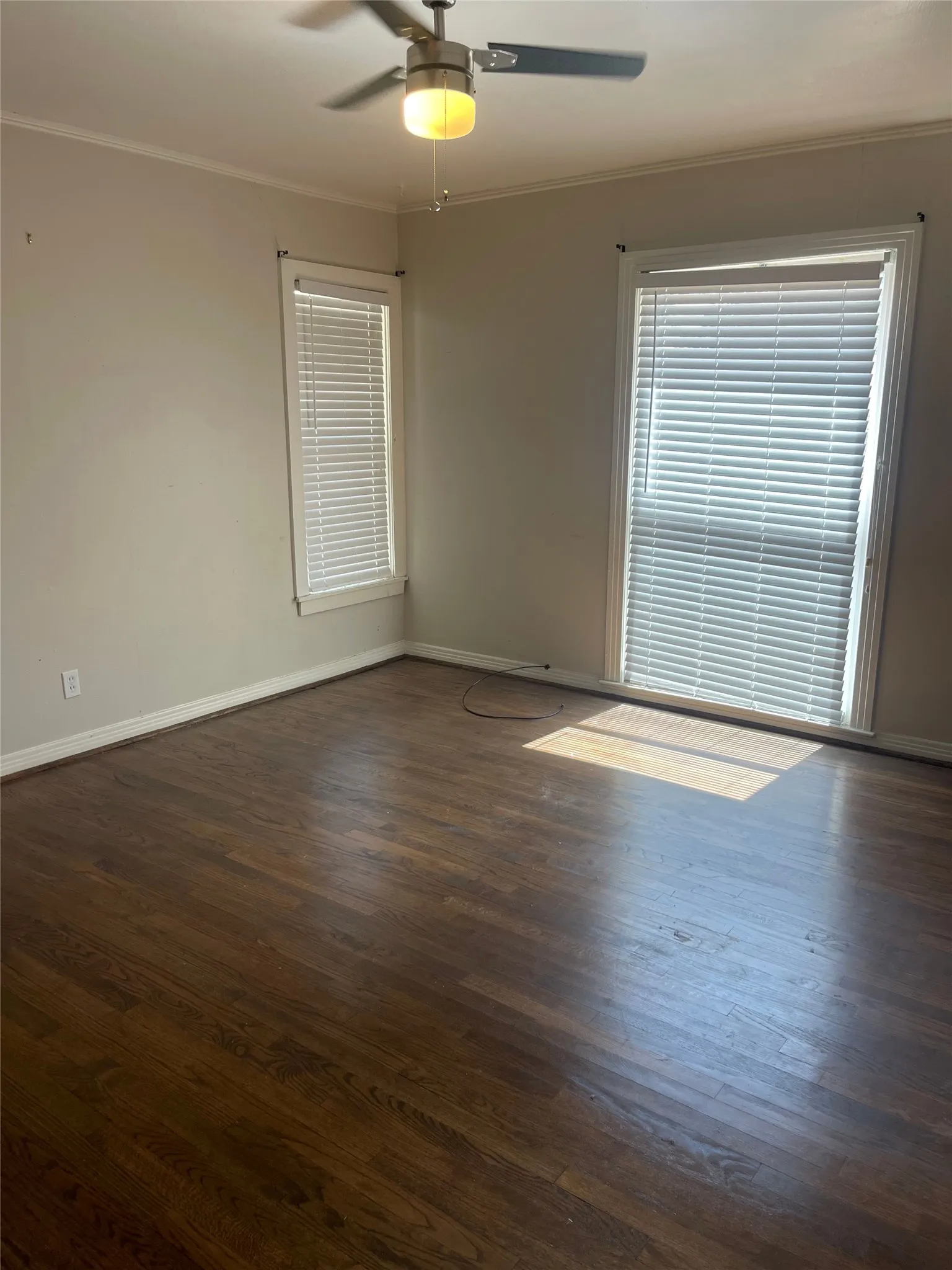 Dark wood-finish flooring with light-toned walls, featuring a ceiling fan with integrated lighting and multiple windows