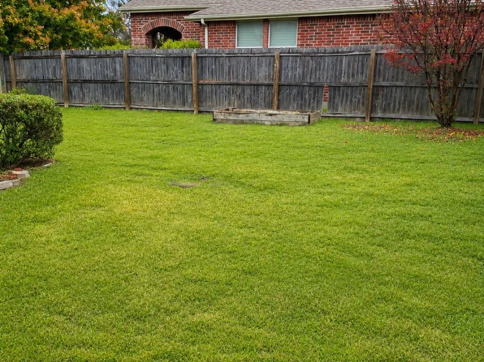 Single Family Residence For Rent in Collin County , 3320 Truman Street, Mc Kinney, Texas 75071, 3 Bedroom, 2 Bathroom, 1 Garage spaces, 1,787 Sqft, built in 2003, mls#21386655, Real Estate Agent in Mc Kinney, Homes For Rent in Collin county, Homes For Rent in Mc Kinney, Realtor in Mc Kinney Texas, Real Estate Brokerage Independent Realty Texas, Luminita Cordes Realtor