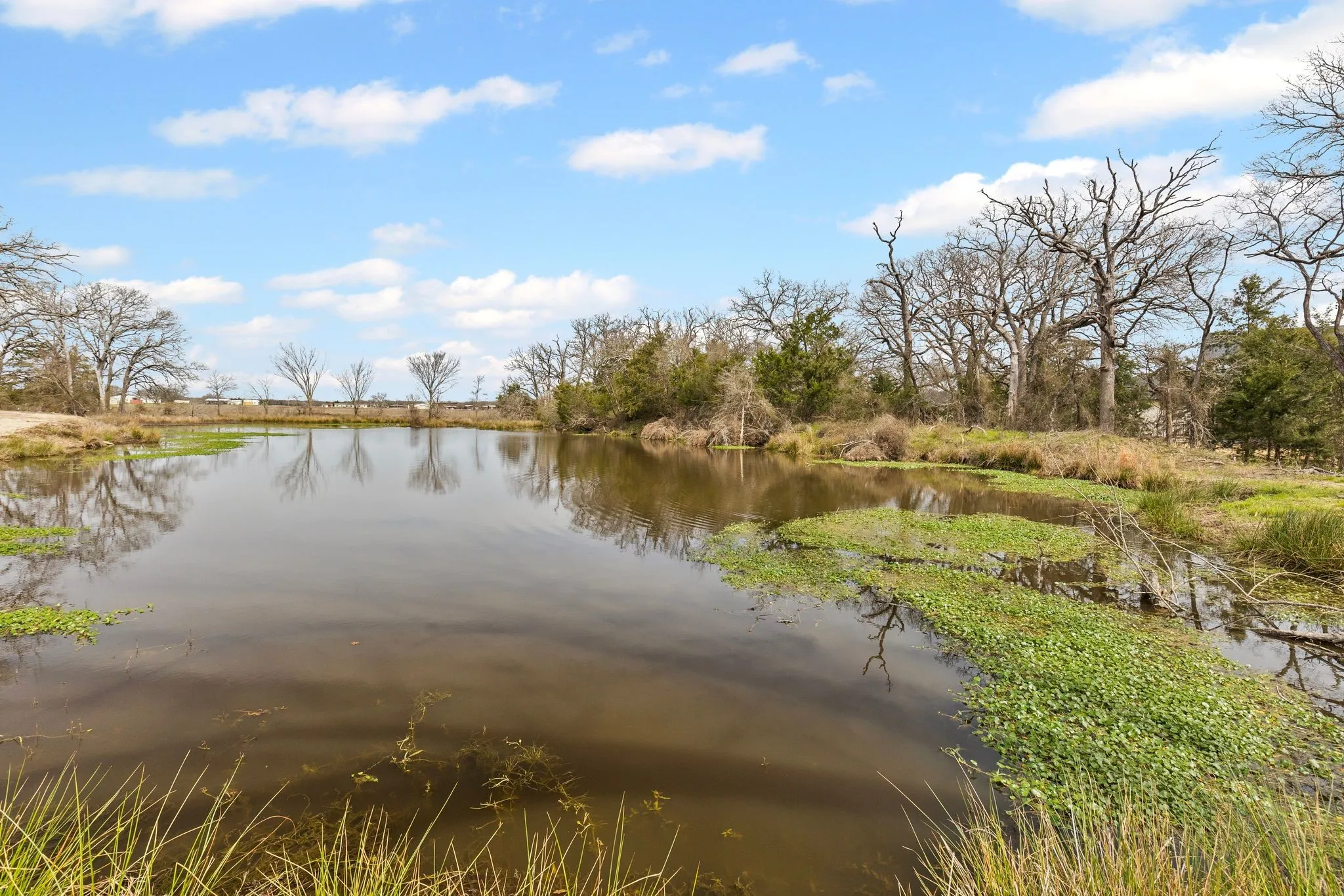 Business For Sale in Hunt County , 9427 FM 35, Royse City, Texas 75189, 0, 0, Garage spaces, 0 Sqft, built in 2023, mls#21372426, Real Estate Agent in Royse City, Homes For Sale in Hunt county, Homes For Sale in Royse City, Realtor in Royse City Texas, Real Estate Brokerage Independent Realty Texas, Luminita Cordes Realtor