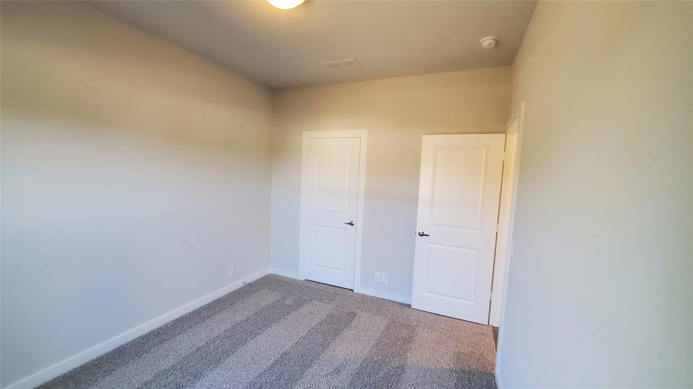 Light gray wall paint, two white paneled doors with dark hardware, and gray patterned carpeting