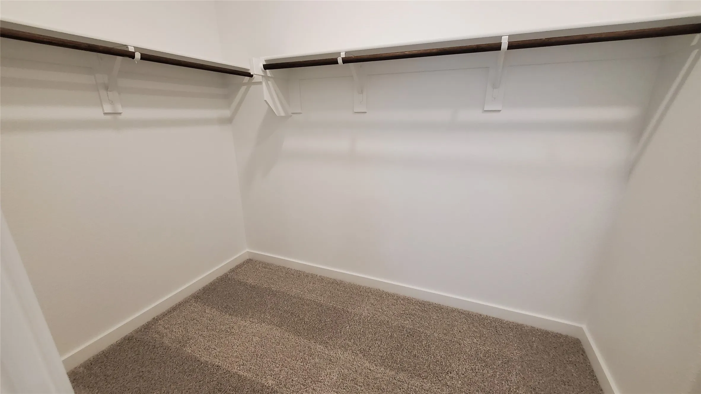 Walk-in closet featuring carpet flooring, built-in shelving, and hanging rods