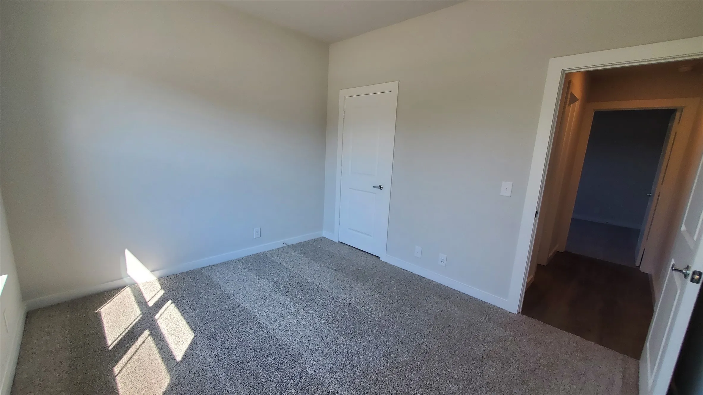 Neutral wall paint, carpeted flooring, white trim, and white doors