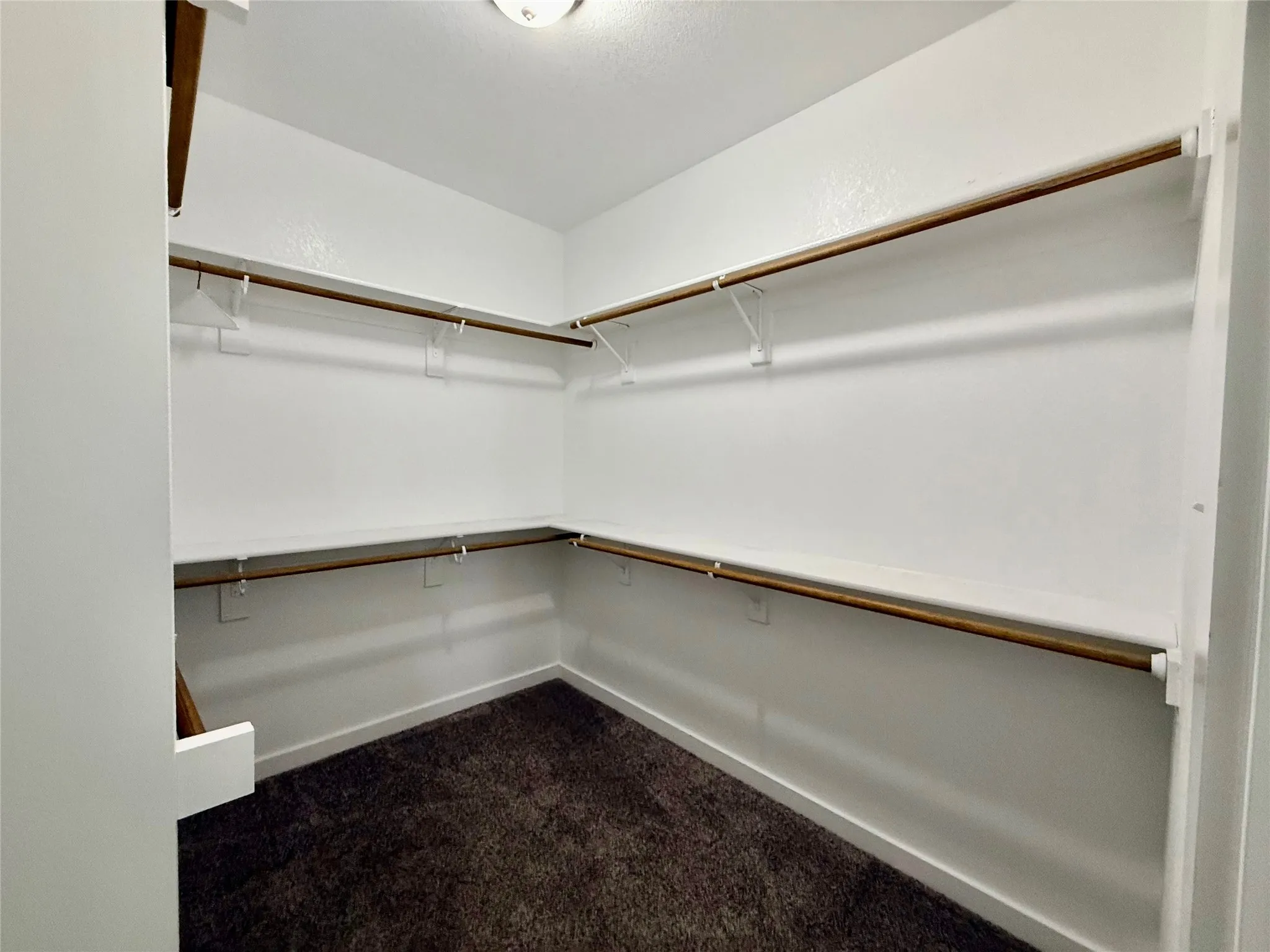 Walk-in closet with carpet flooring, white walls, and built-in shelving with hanging rods