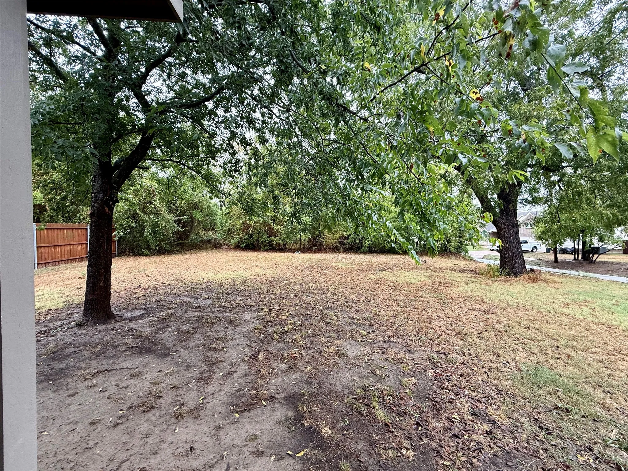 Expansive backyard with a wood privacy fence and mature trees