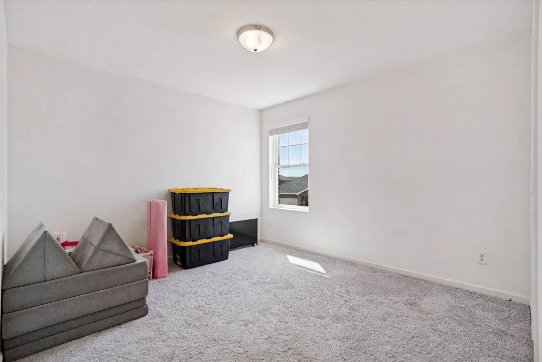 Soft gray carpeting, white painted walls, single window with blinds, and a flush-mount ceiling light fixture
