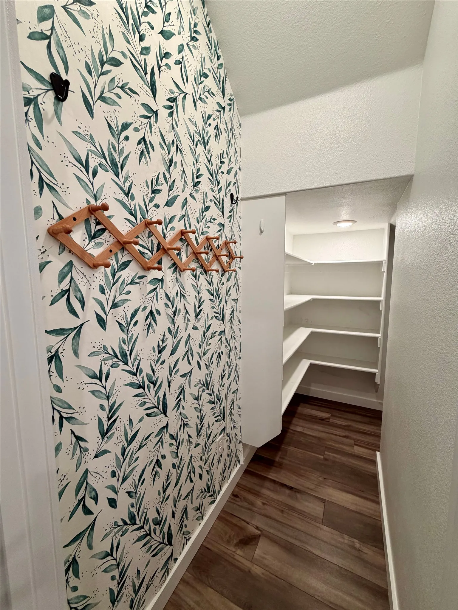 Wood-finish flooring, accent wall with botanical pattern, built-in shelving, expandable wooden coat rack, recessed lighting