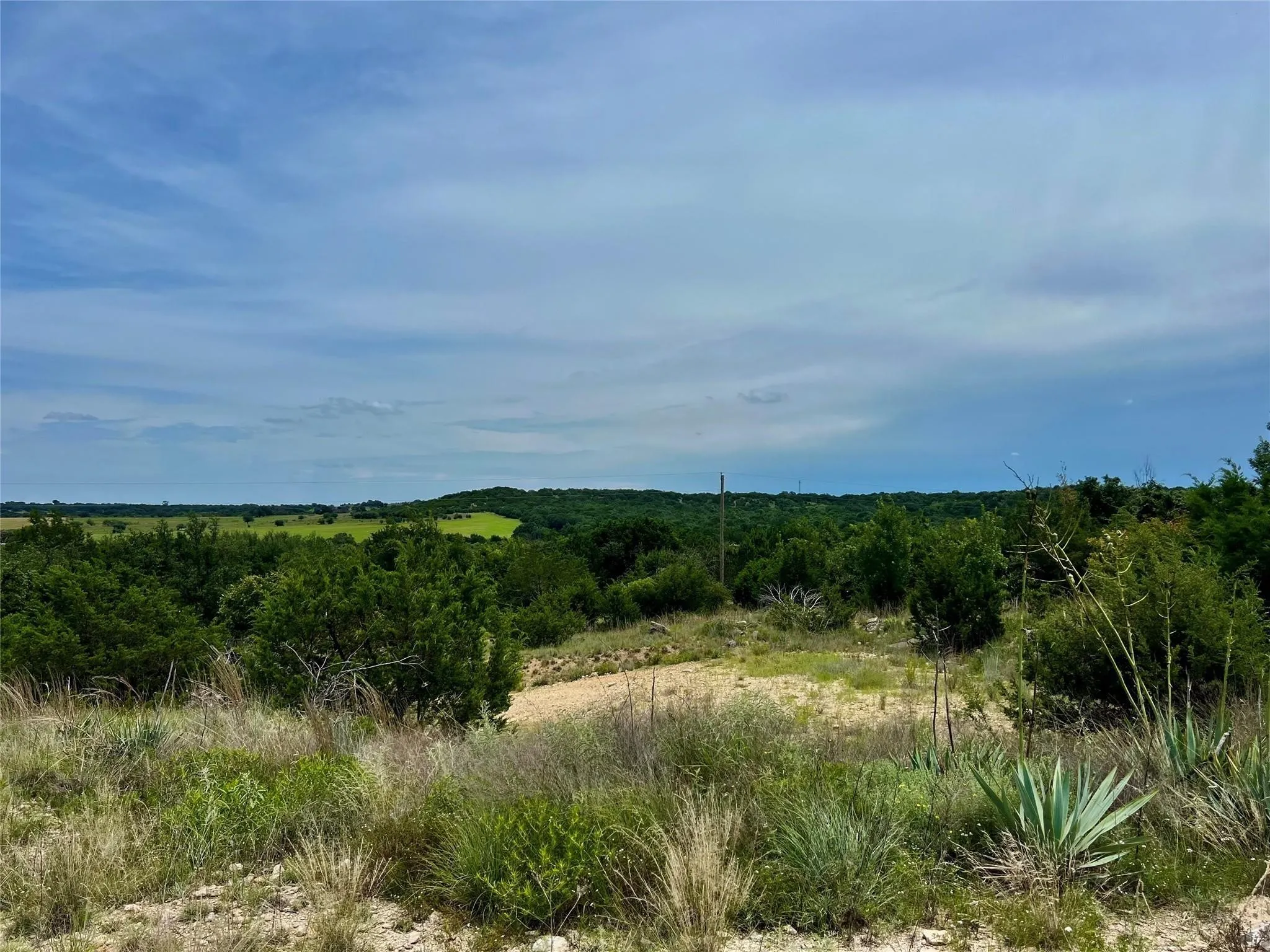 Expansive open land with varied topography, featuring dense tree coverage, scattered brush, and a visible dirt path