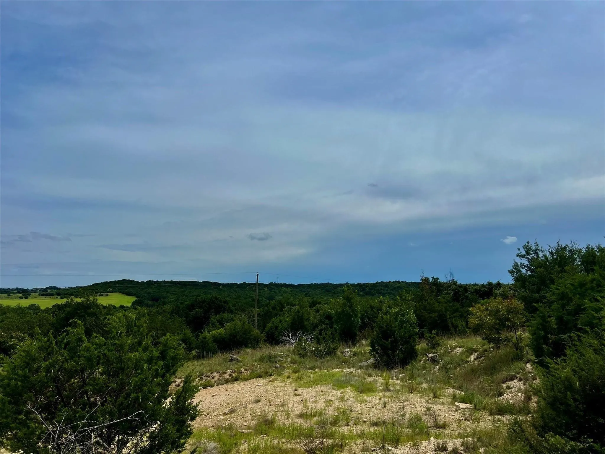 Expansive natural landscape with varied terrain and established trees