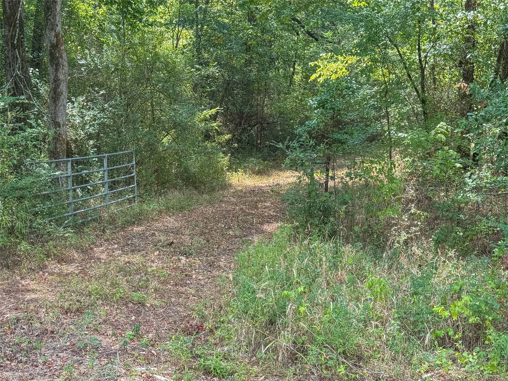 Unimproved Land For Sale in Gregg County , FM 1845 Pine Tree Road, Longview, Texas 75604, 0, 0, Garage spaces, 0 Sqft, built in 0, mls#21386702, Real Estate Agent in Longview, Homes For Sale in Gregg county, Homes For Sale in Longview, Realtor in Longview Texas, Real Estate Brokerage Independent Realty Texas, Luminita Cordes Realtor