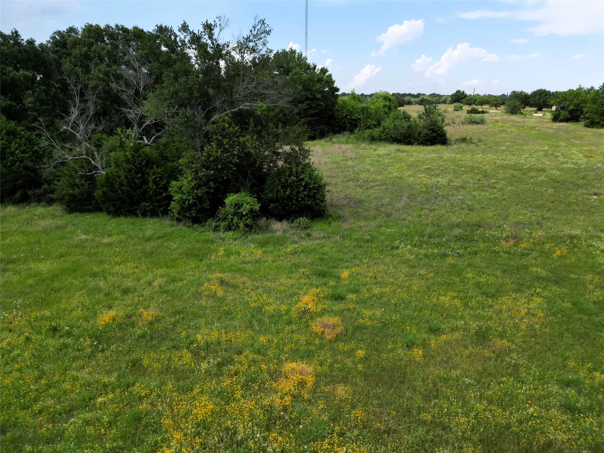 Ranch For Sale in Hunt County , 30+/-Ac FM 36, Caddo Mills, Texas 75135, 0, 0, Garage spaces, 0 Sqft, built in 0, mls#21386700, Real Estate Agent in Caddo Mills, Homes For Sale in Hunt county, Homes For Sale in Caddo Mills, Realtor in Caddo Mills Texas, Real Estate Brokerage Independent Realty Texas, Luminita Cordes Realtor