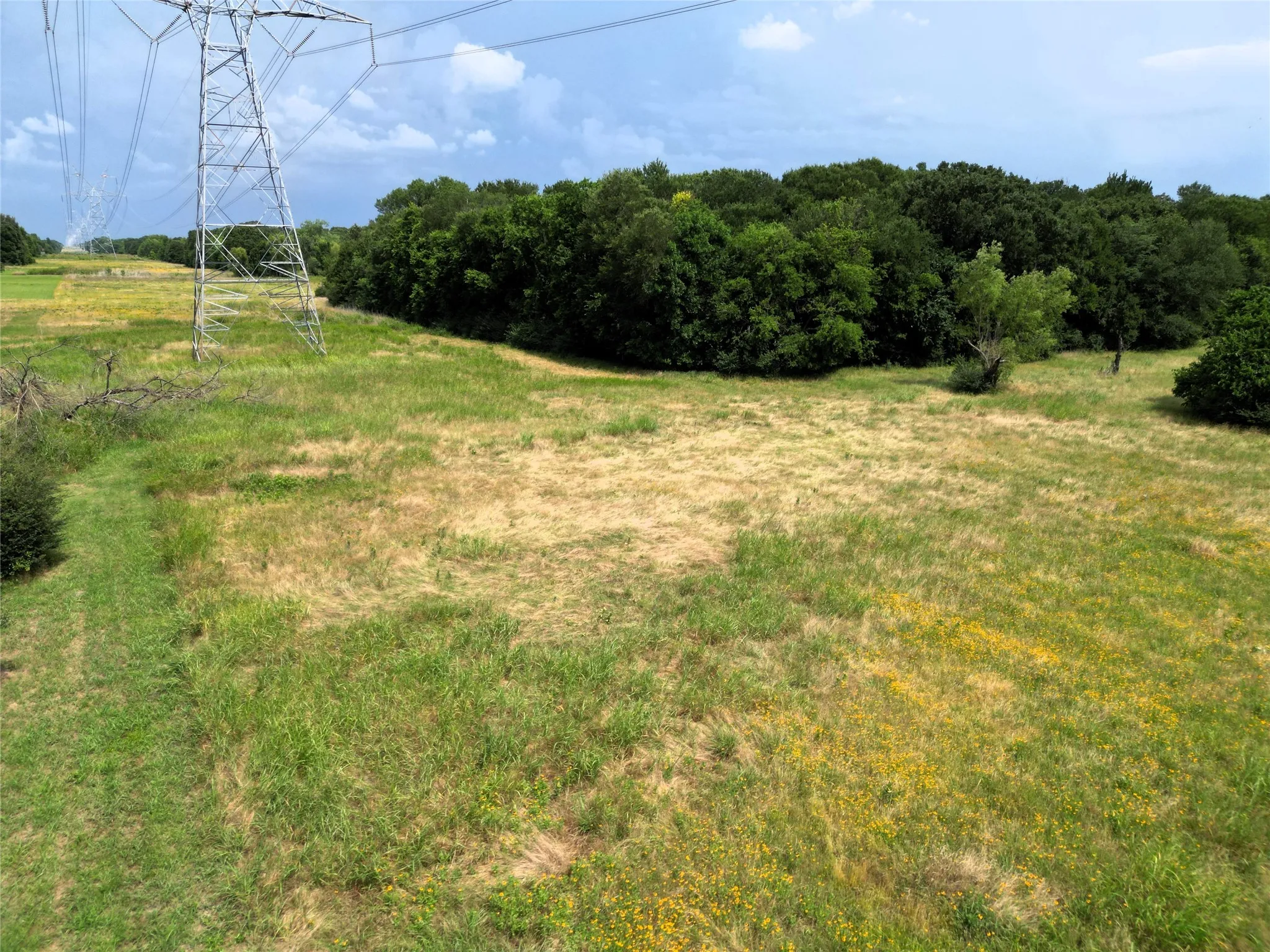 Ranch For Sale in Hunt County , 30+/-Ac FM 36, Caddo Mills, Texas 75135, 0, 0, Garage spaces, 0 Sqft, built in 0, mls#21386700, Real Estate Agent in Caddo Mills, Homes For Sale in Hunt county, Homes For Sale in Caddo Mills, Realtor in Caddo Mills Texas, Real Estate Brokerage Independent Realty Texas, Luminita Cordes Realtor