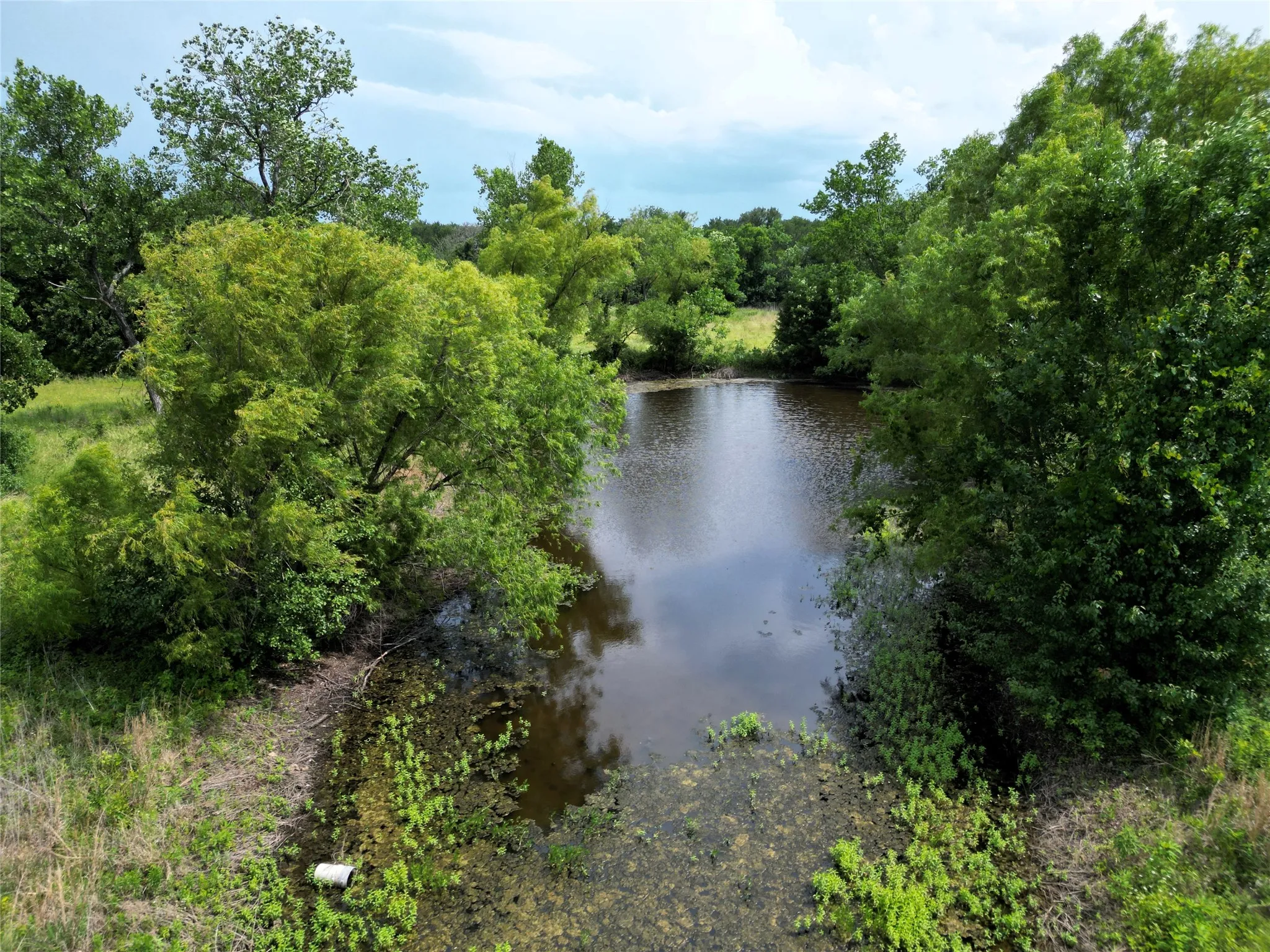 Ranch For Sale in Hunt County , 30+/-Ac FM 36, Caddo Mills, Texas 75135, 0, 0, Garage spaces, 0 Sqft, built in 0, mls#21386700, Real Estate Agent in Caddo Mills, Homes For Sale in Hunt county, Homes For Sale in Caddo Mills, Realtor in Caddo Mills Texas, Real Estate Brokerage Independent Realty Texas, Luminita Cordes Realtor