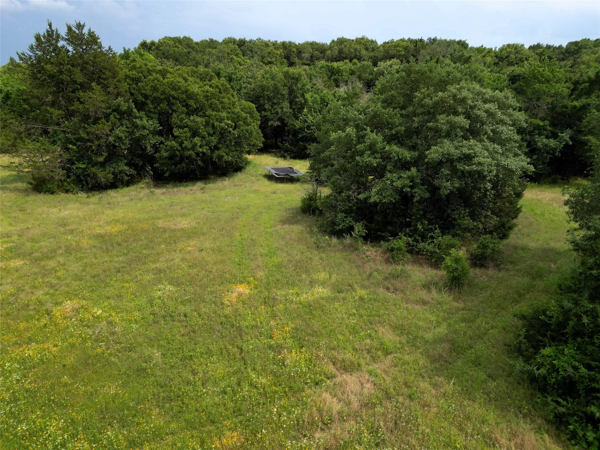 Ranch For Sale in Hunt County , 30+/-Ac FM 36, Caddo Mills, Texas 75135, 0, 0, Garage spaces, 0 Sqft, built in 0, mls#21386700, Real Estate Agent in Caddo Mills, Homes For Sale in Hunt county, Homes For Sale in Caddo Mills, Realtor in Caddo Mills Texas, Real Estate Brokerage Independent Realty Texas, Luminita Cordes Realtor