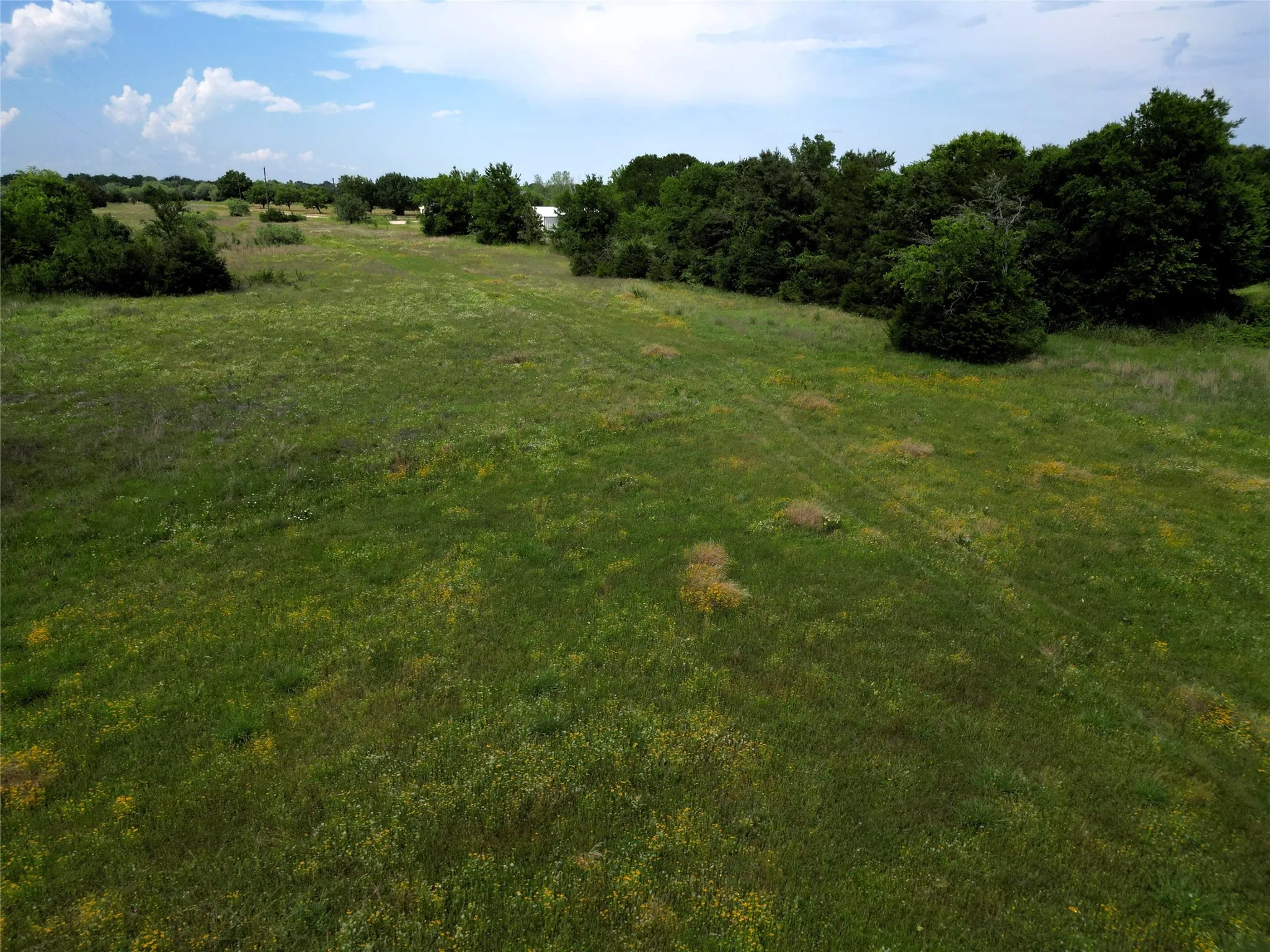 Ranch For Sale in Hunt County , 30+/-Ac FM 36, Caddo Mills, Texas 75135, 0, 0, Garage spaces, 0 Sqft, built in 0, mls#21386700, Real Estate Agent in Caddo Mills, Homes For Sale in Hunt county, Homes For Sale in Caddo Mills, Realtor in Caddo Mills Texas, Real Estate Brokerage Independent Realty Texas, Luminita Cordes Realtor