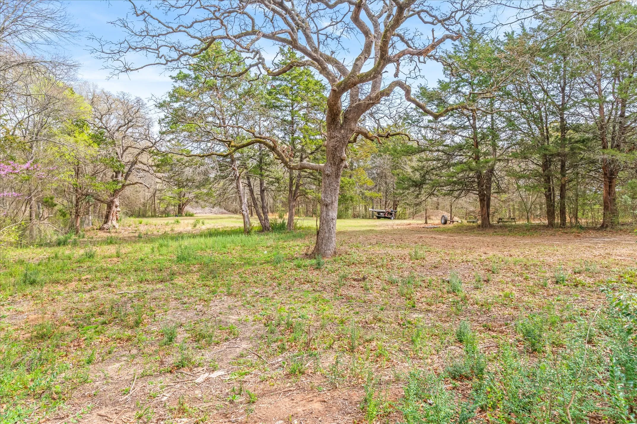 Single Family Residence For Sale in Van Zandt County , 700 Amy Street, Canton, Texas 75103, 3 Bedroom, 2 Bathroom, 2 Garage spaces, 1,581 Sqft, built in 1970, mls#21386720, Real Estate Agent in Canton, Homes For Sale in Van Zandt county, Homes For Sale in Canton, Realtor in Canton Texas, Real Estate Brokerage Independent Realty Texas, Luminita Cordes Realtor